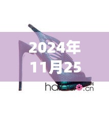 富丽鞋履2024年秋季新款展望，时尚前沿的潮流密码探索