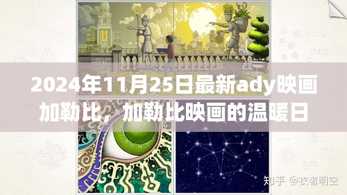 加勒比映画的温暖日常，友情、欢笑与爱的绽放（2024年11月25日最新更新）