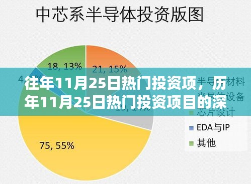 往年11月25日热门投资项，历年11月25日热门投资项目的深度解析