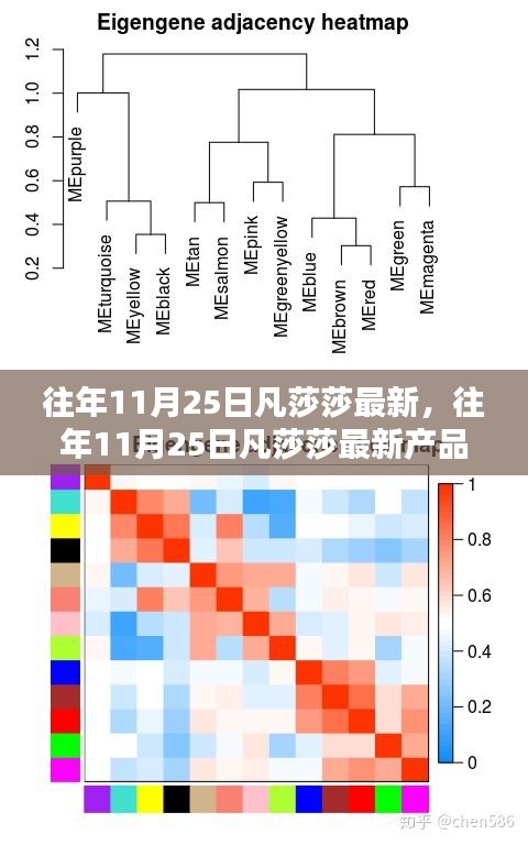 往年11月25日凡莎莎新品全面评测与介绍，最新产品一览