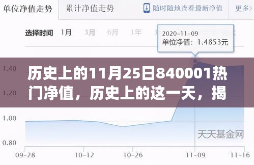 揭秘，历史上的11月25日840001热门净值的背后故事与数据解析