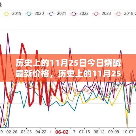 历史上的11月25日今日烧碱最新价格，历史上的11月25日与今日烧碱价格详解，初学者指南