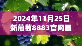 新葡萄8883官网最新版特色及游戏评测报告（2024年11月版）