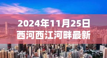 独家揭秘，西河西江河畔最新动态一网打尽（2024年11月25日最新消息）