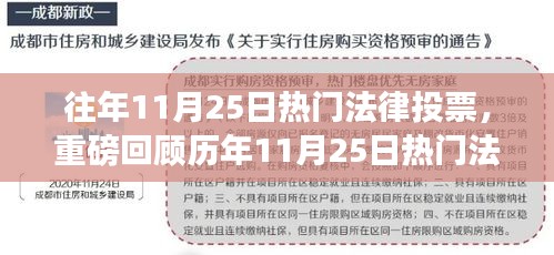 历年11月25日法律话题投票深度解析，洞悉法律趋势，不容错过！