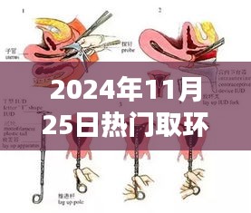 探秘小巷深处的独特取环秘境，一场不可错过的时尚之旅（2024年11月25日）