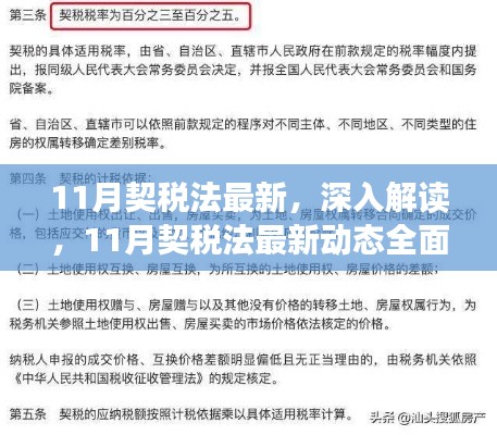 11月契税法最新动态深度解读与全面评测报告