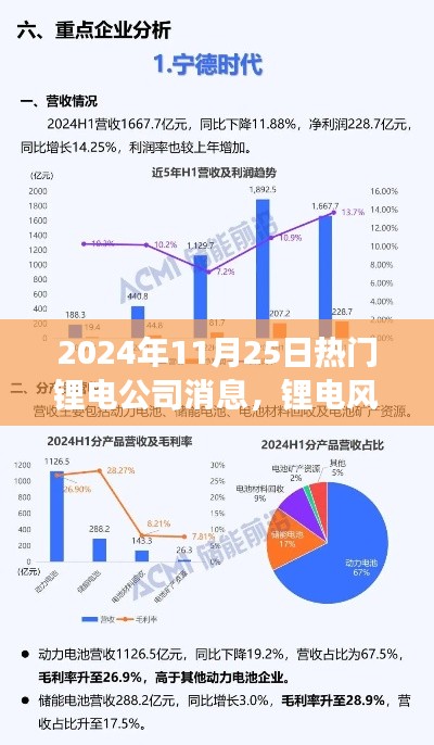 电波中的友情与陪伴，锂电风云下的温馨日常（热门锂电公司消息速递）