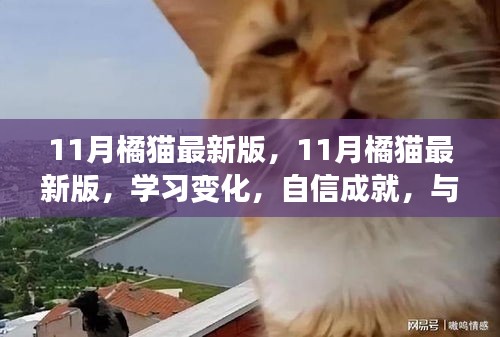 11月橘猫最新版，学习变化，自信成就，励志同行