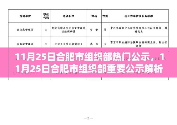 合肥市组织部热门公示及解析发布