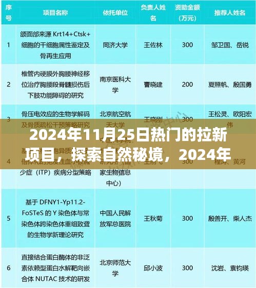 探索自然秘境，揭秘热门拉新之旅，启程寻找内心的桃花源（2024年11月25日）