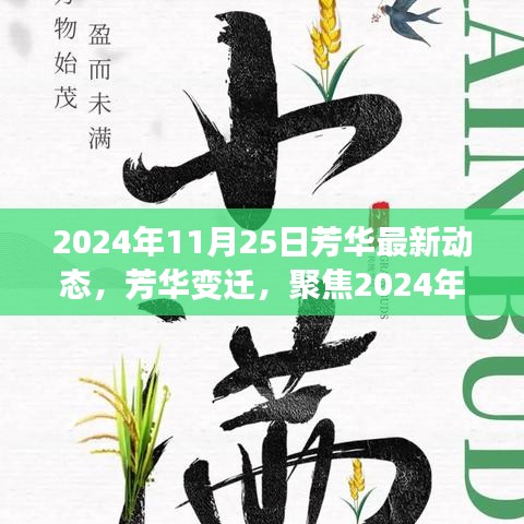 2024年11月25日芳华新动向深度解读，芳华变迁与思考