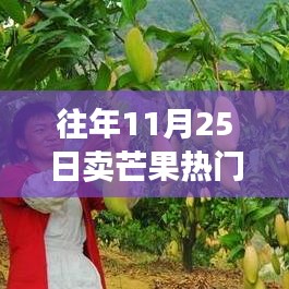 步步为赢，揭秘如何在往年11月25日成为芒果销售热门策略揭秘