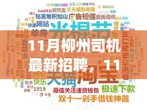 11月柳州司机最新招聘全程指南，从入门到成功应聘