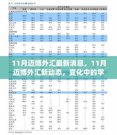 11月迈博外汇最新动态，变化中的学习之旅，自信与成就感的源泉