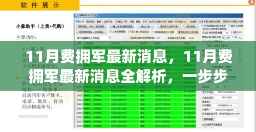 11月费拥军最新消息全解析，参与支持活动的步骤与了解