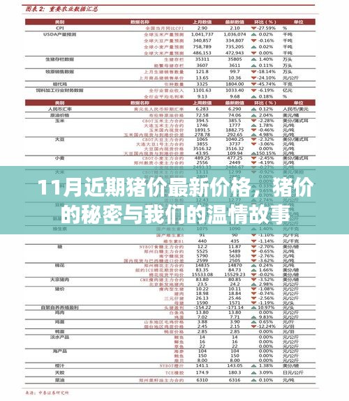 11月最新猪价揭秘，价格背后的秘密与温情故事