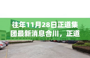 正道集团合川分公司往年11月28日最新消息获取指南（初学者与进阶用户必看）