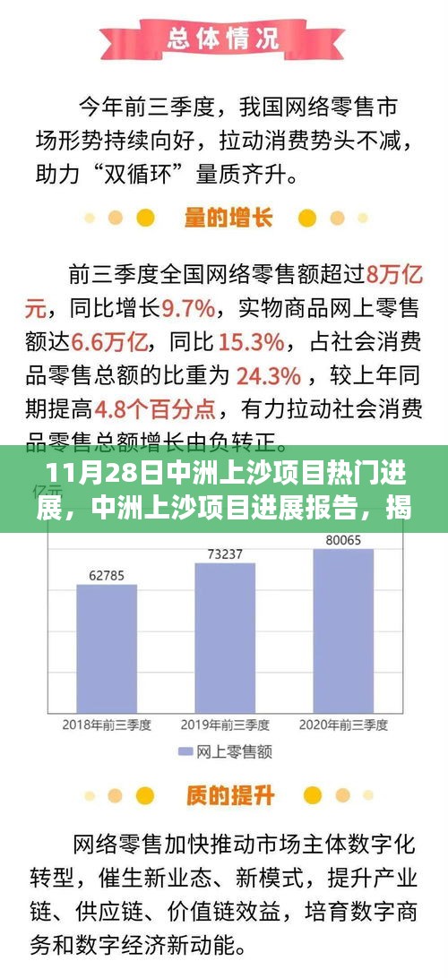 揭秘中洲上沙项目进展，十一月二十八日热门动态报告