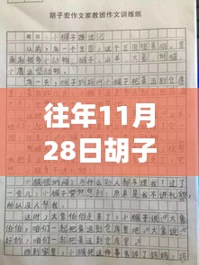 胡子宏生命日记最新篇，任务指南与技能学习步骤（11月28日更新）