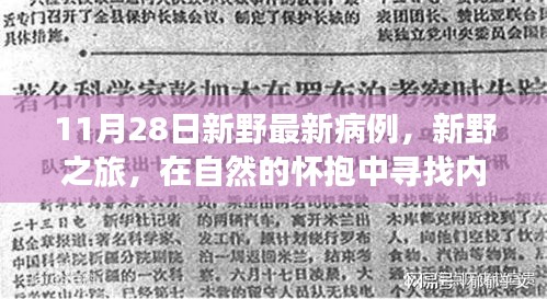 新野之旅，探寻自然怀抱中的力量与心灵宁静——最新病例报告