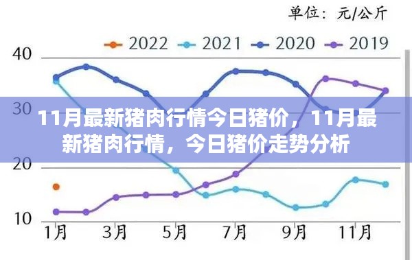 11月最新猪肉行情今日猪价，11月最新猪肉行情，今日猪价走势分析