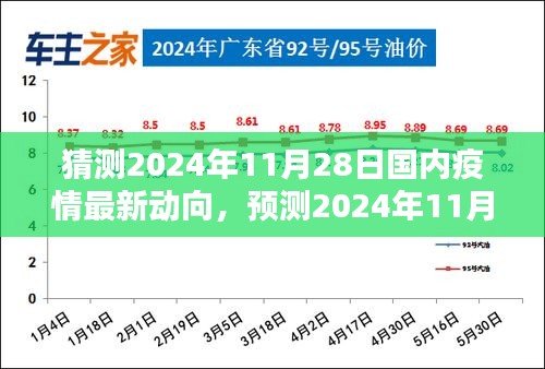 2024年11月28日国内疫情影响预测，最新动向分析