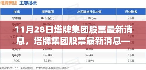 塔牌集团股票最新消息聚焦解析（11月28日版）