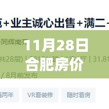 合肥房价变迁下的励志篇章，学习成长，自信闪耀（11月最新数据）