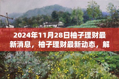 柚子理财最新动态与市场趋势解码，2024年11月28日理财新策略分析