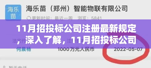 11月招投标公司注册最新规定详解