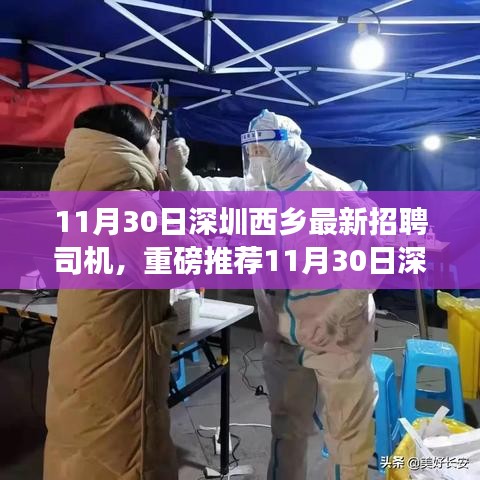 11月30日深圳西乡最新司机招聘讯息，优质岗位等你来驾