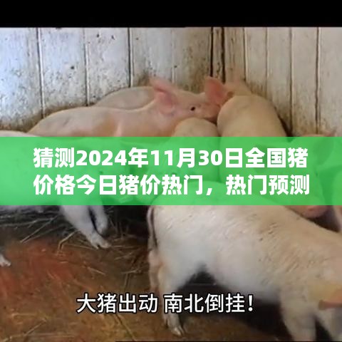 2024年11月30日全国猪价预测与走势分析