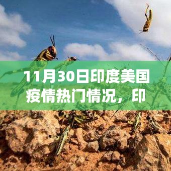 11月30日印度与美国疫情深度观察，动态分析与热门情况