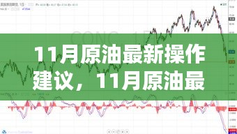 全方位评测与深度介绍，最新11月原油操作建议