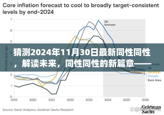 解读未来，同性同性的新篇章——展望2024年11月30日的新趋势