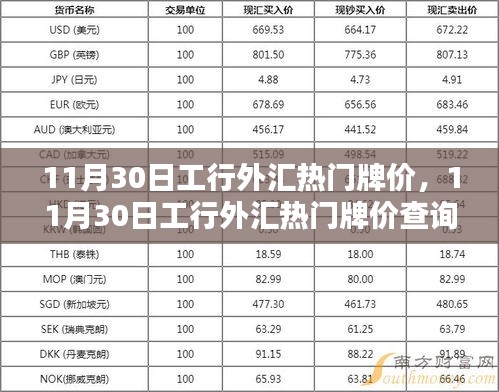 11月30日工行外汇热门牌价详解，查询与操作指南，从新手到熟练者的必经之路