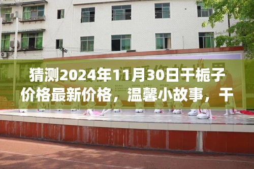 2024年干栀子价格猜想，温馨小故事与美好时光共度