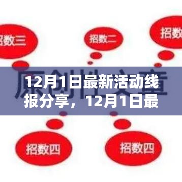 12月1日最新活动线报分享，多元观点碰撞与启示