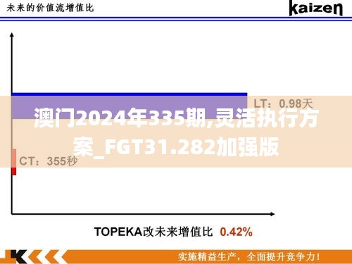 澳门2024年335期,灵活执行方案_FGT31.282加强版