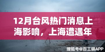 上海年末台风袭击，最新动态、热门消息及影响分析