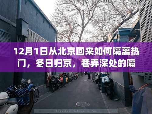 冬日归京，巷弄深处的隔离热点与独特邂逅之旅