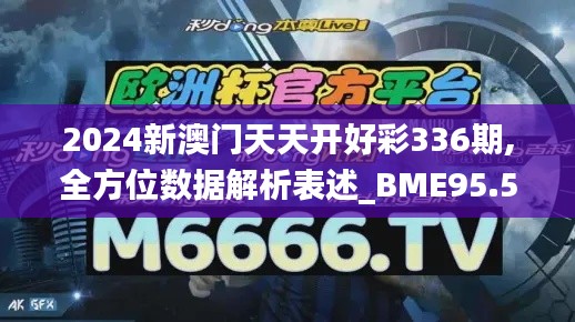 2024新澳门天天开好彩336期,全方位数据解析表述_BME95.519锐意版