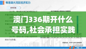 澳门336期开什么号码,社会承担实践战略_NGX7.136亲和版