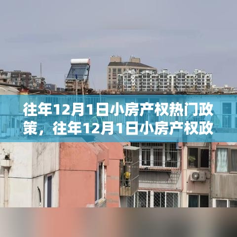 应对小房产权政策，详解往年12月1日热门政策与应对策略指南