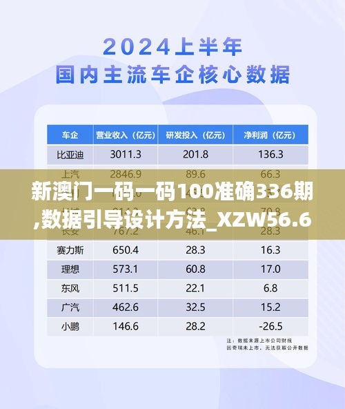 新澳门一码一码100准确336期,数据引导设计方法_XZW56.678演讲版