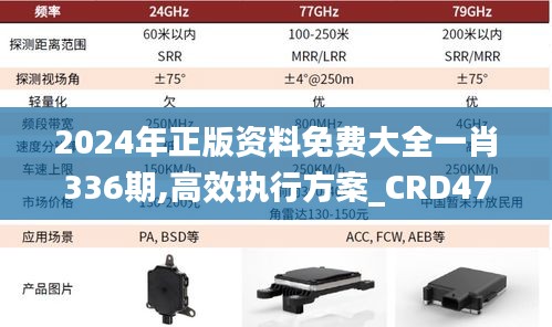 2024年正版资料免费大全一肖336期,高效执行方案_CRD47.932炼骨境