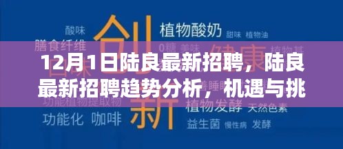 陆良最新招聘趋势分析，机遇与挑战并存，把握最新招聘动态