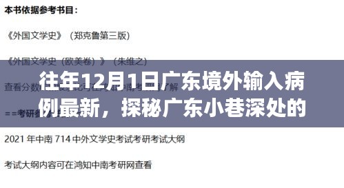 广东境外输入病例最新动态与小巷美食宝藏探秘，十二月一日最新报告