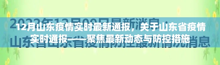 山东疫情实时最新通报，聚焦最新动态与防控措施